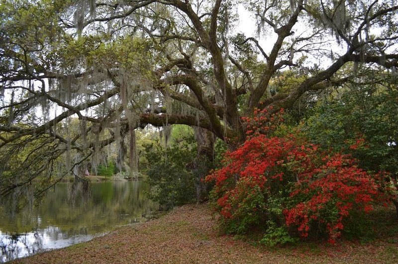 Charles Towne Landing State Historic Site