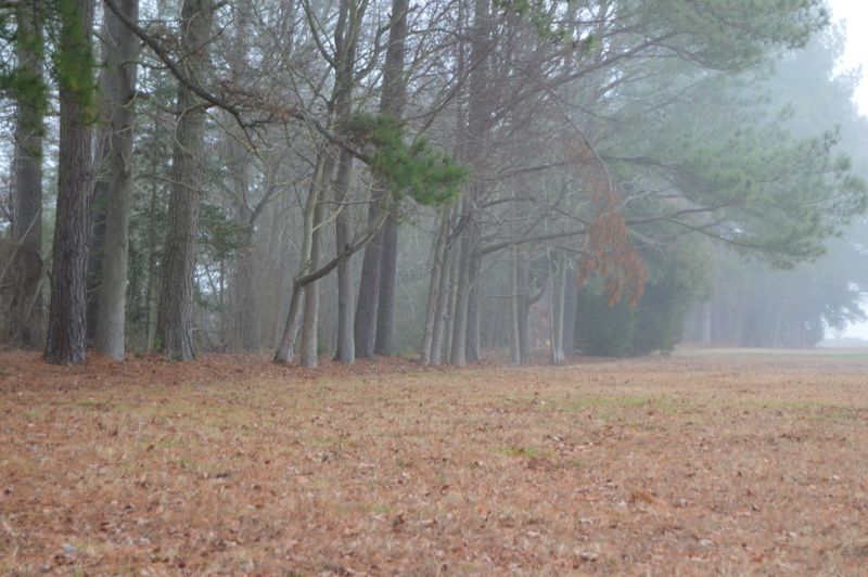 Fort Hill