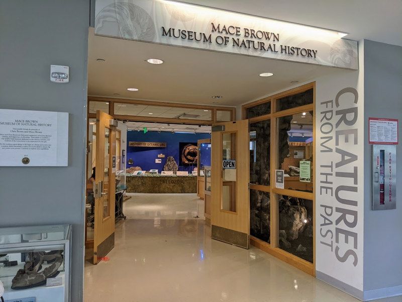 Mace Brown Museum of Natural History