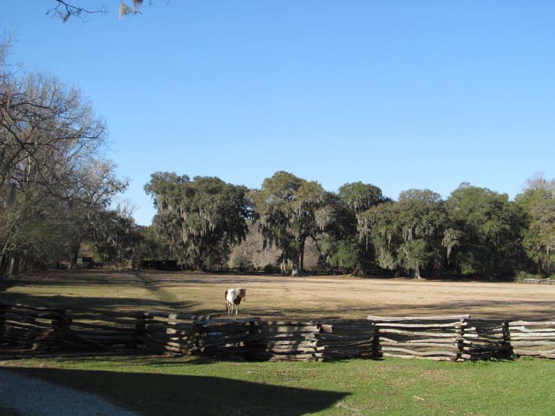 Magnolia Plantation and Gardens