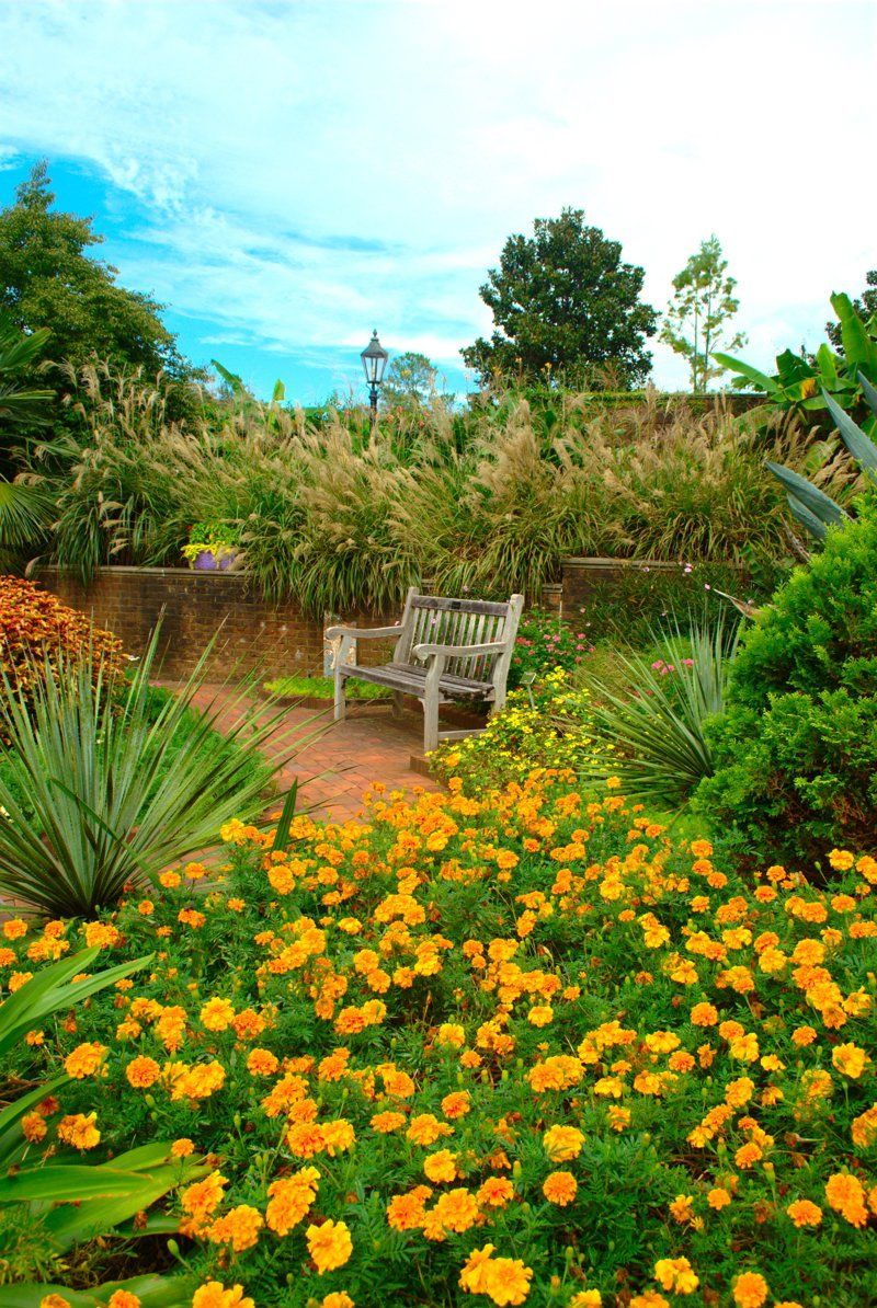 South Carolina Botanical Garden