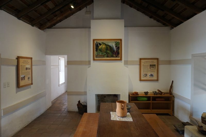 Casa Navarro State Historic Site