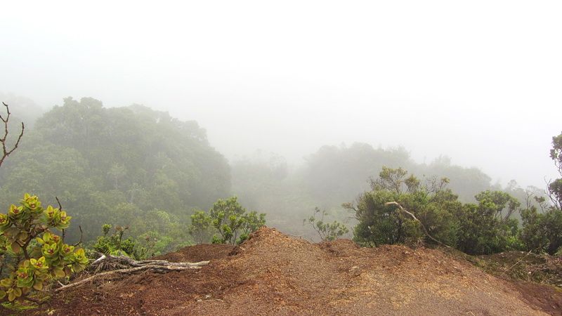 Koke’e Museum at Koke'e State Park