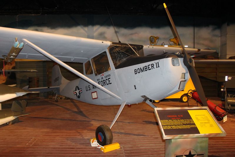 Dog Museum, TheThe Dog Museum
