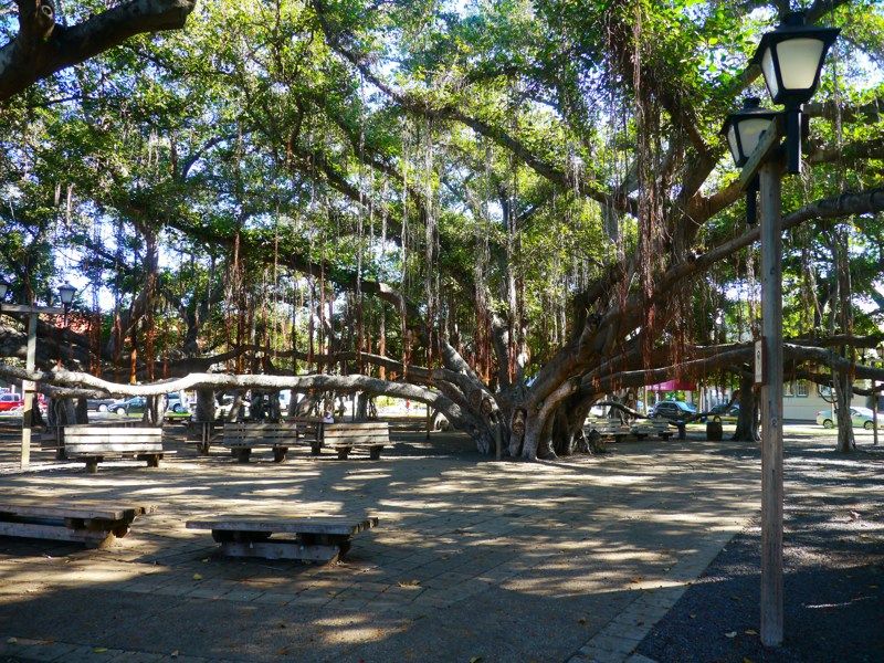 Lahaina Heritage Museum