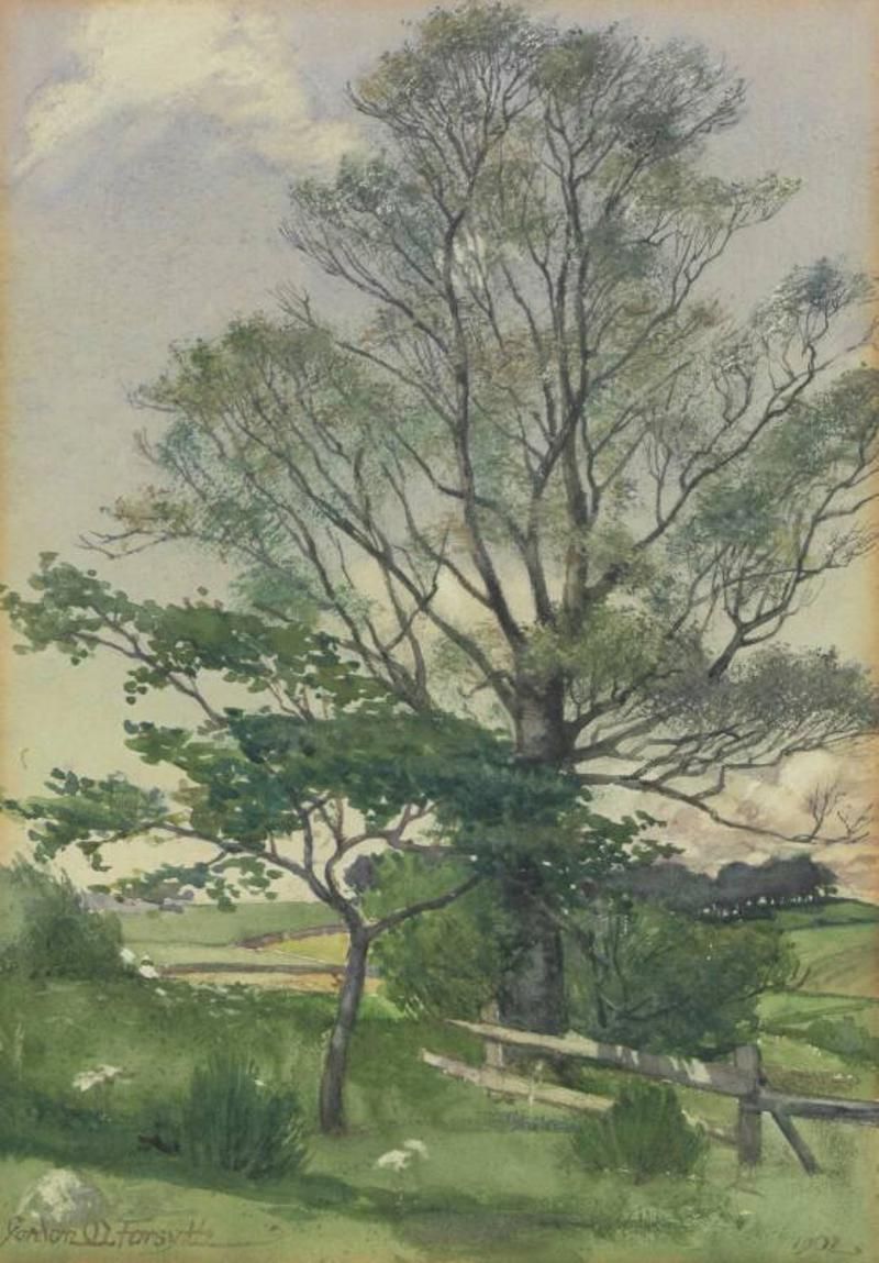 Forsyth Galleries