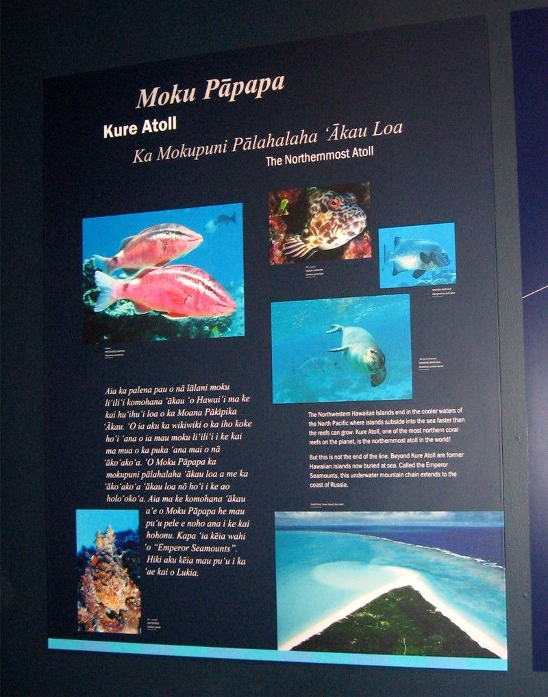 Mokupāpapa Discovery Center