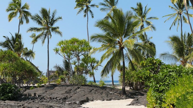 Pu'uhonua o Honaunau National Historical Park