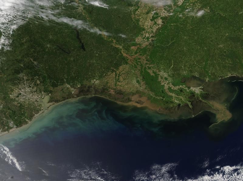 Museum of the Gulf Coast