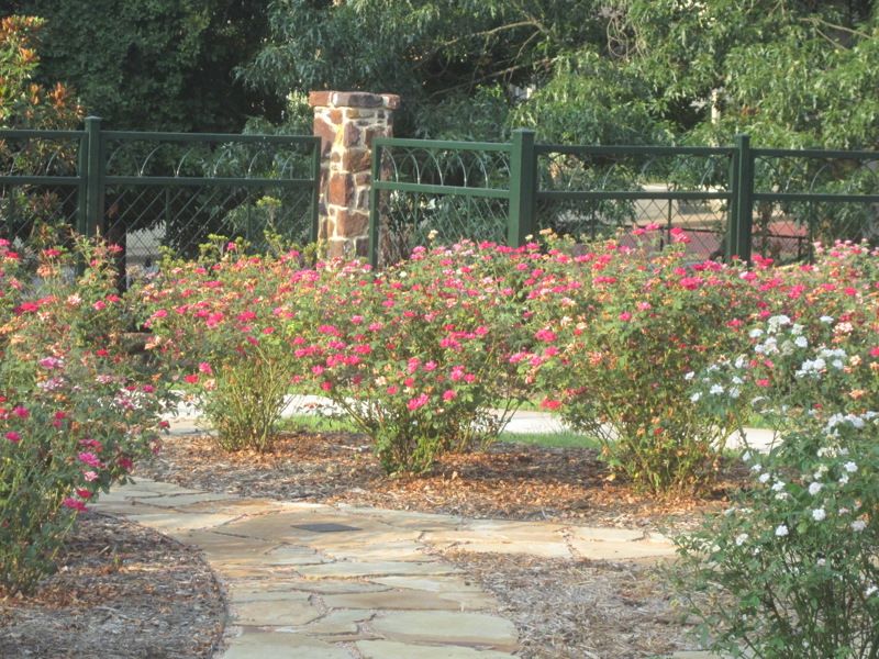 Tyler Rose Museum