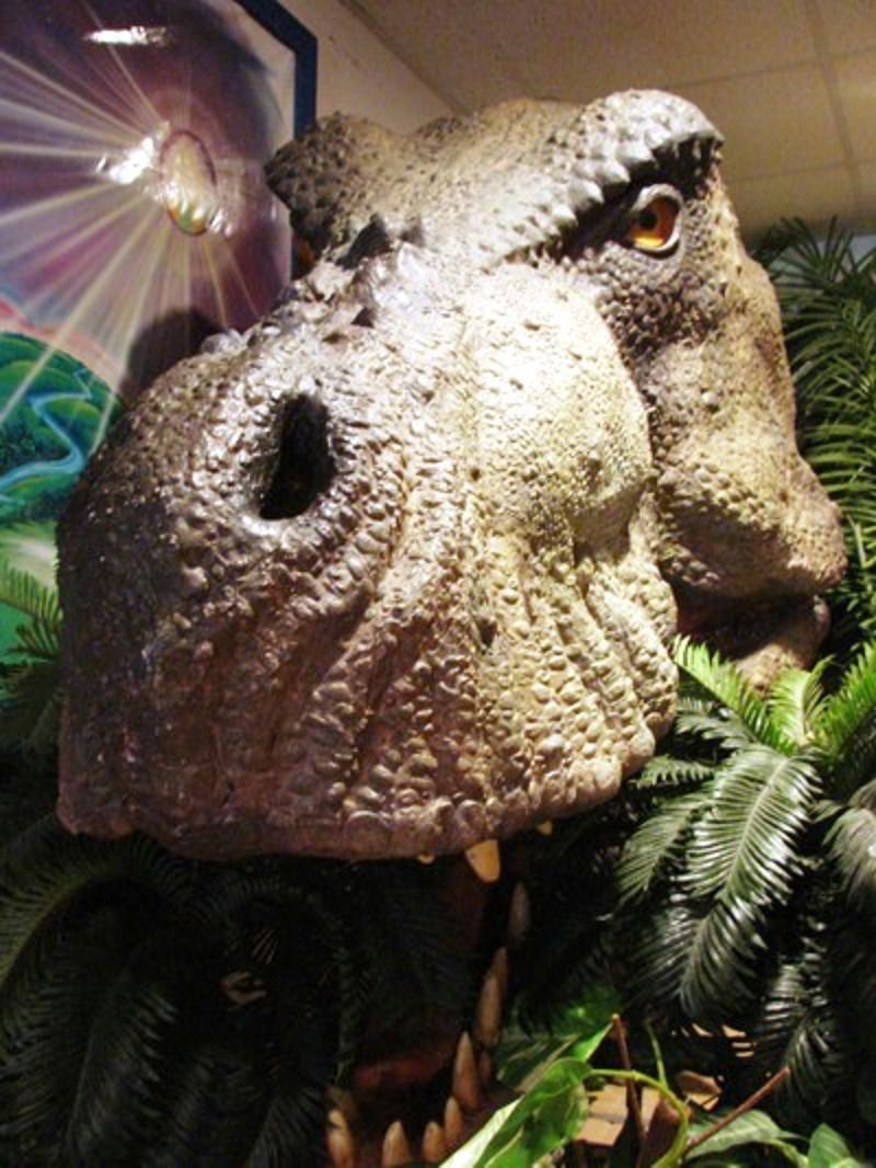 Creation Evidence Museum