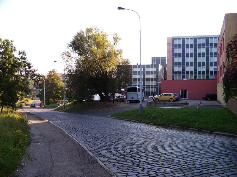 Cobblestone Society Museum