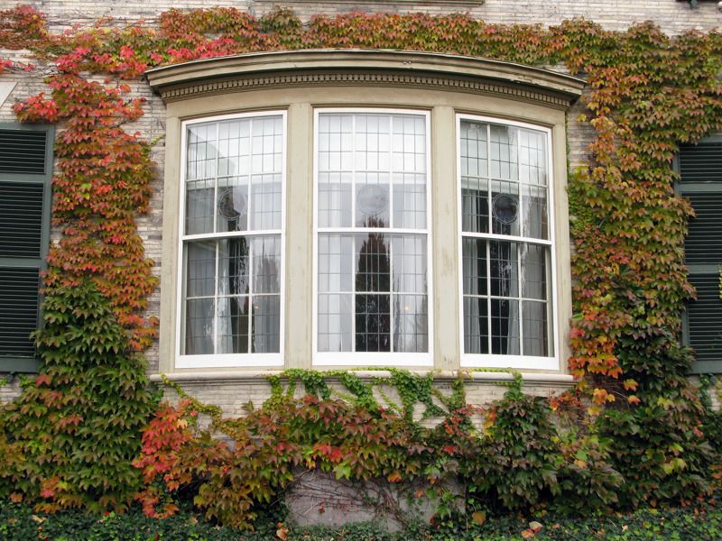 George Eastman Museum