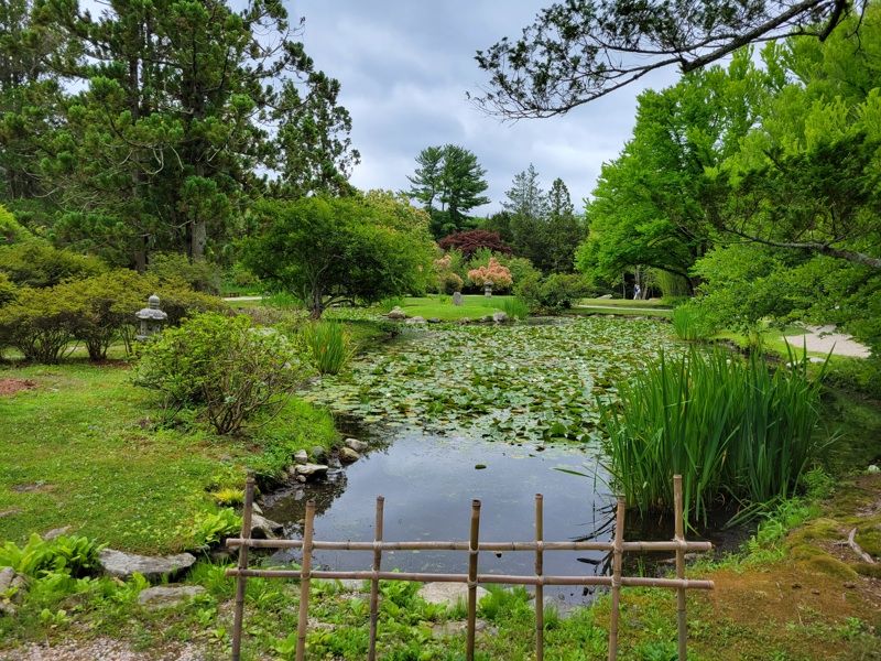 Hammond Museum and Japanese Stroll Garden