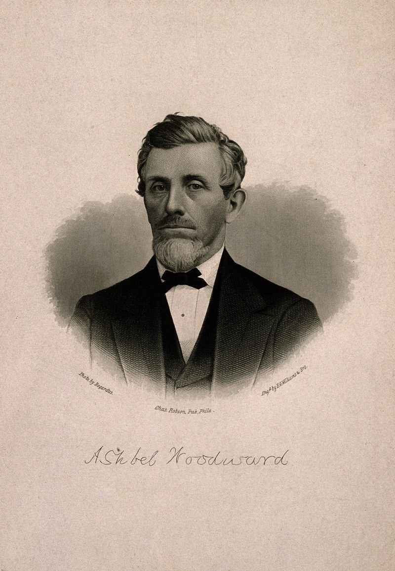Ashbel Woodward Museum