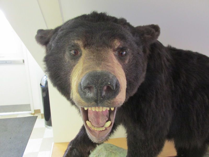 Connecticut State Museum of Natural History