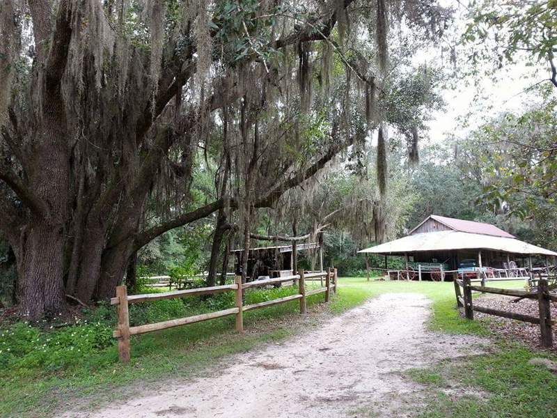 Dudley Farm