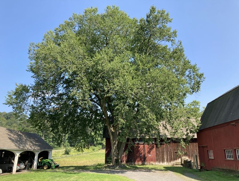 Hill-Stead Museum