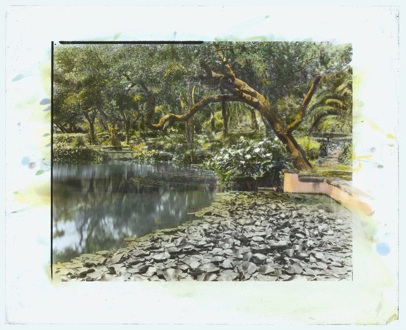 Ogden House and Gardens