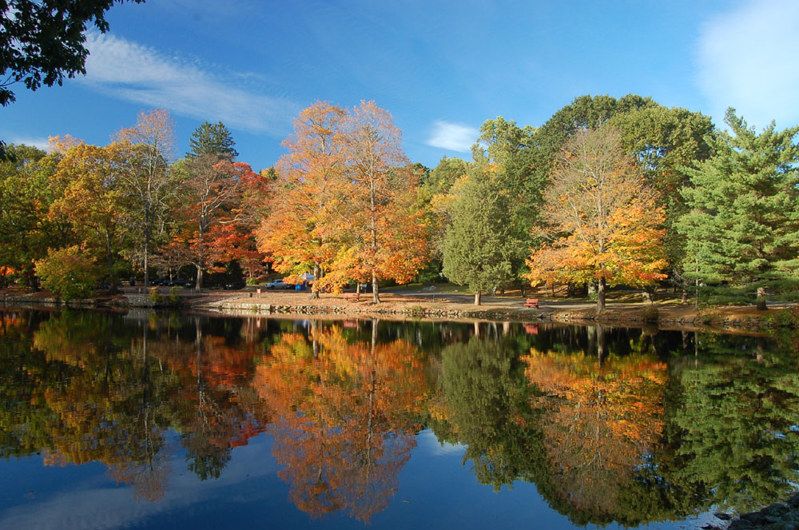 Stamford Museum and Nature Center