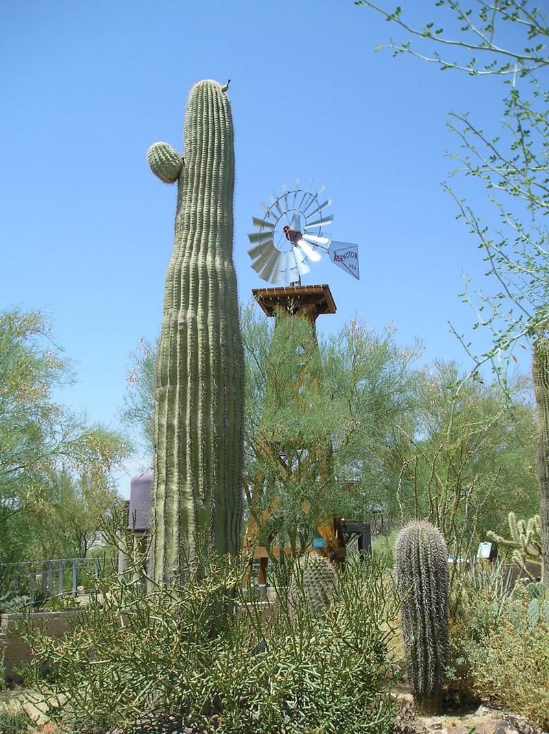 Las Vegas Springs Preserve