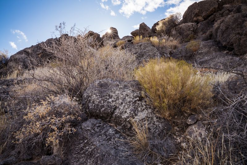 Pahrump Valley Museum