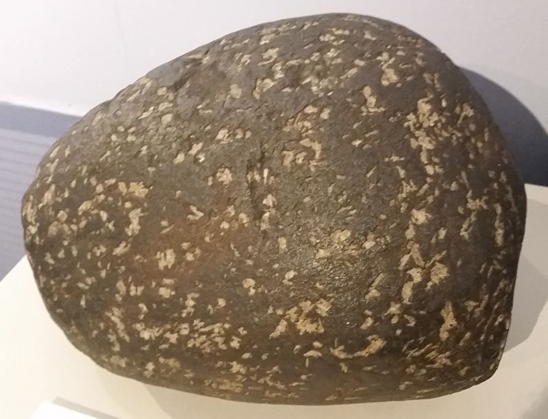 Museum of Natural History and Planetarium