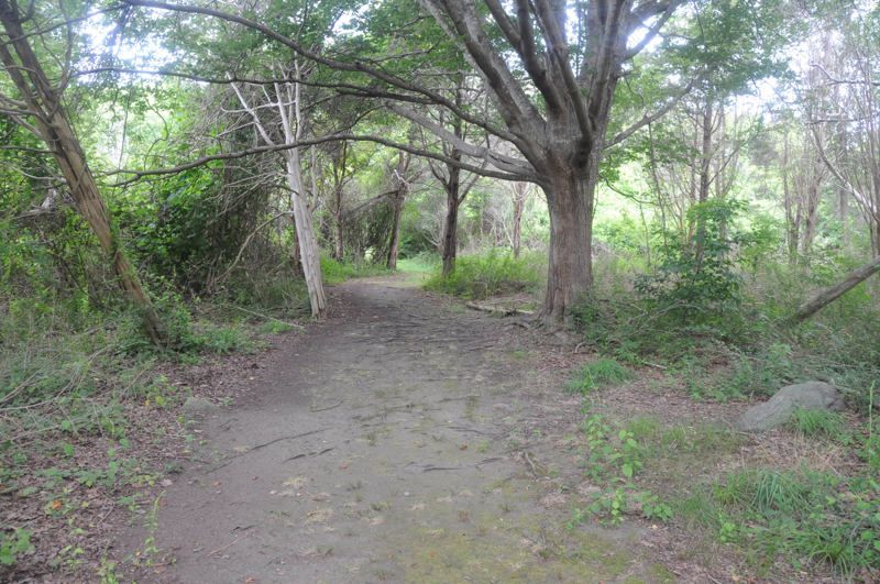 Norman Bird Sanctuary