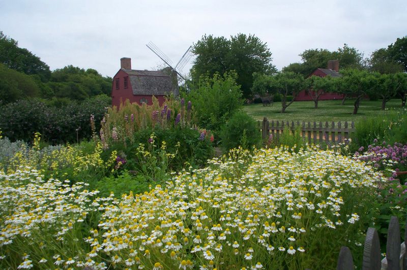 Prescott Farm