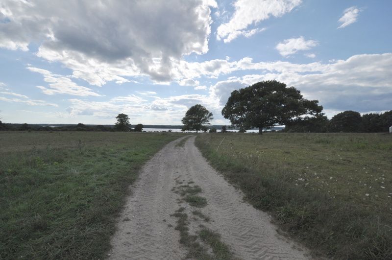 Watson Farm