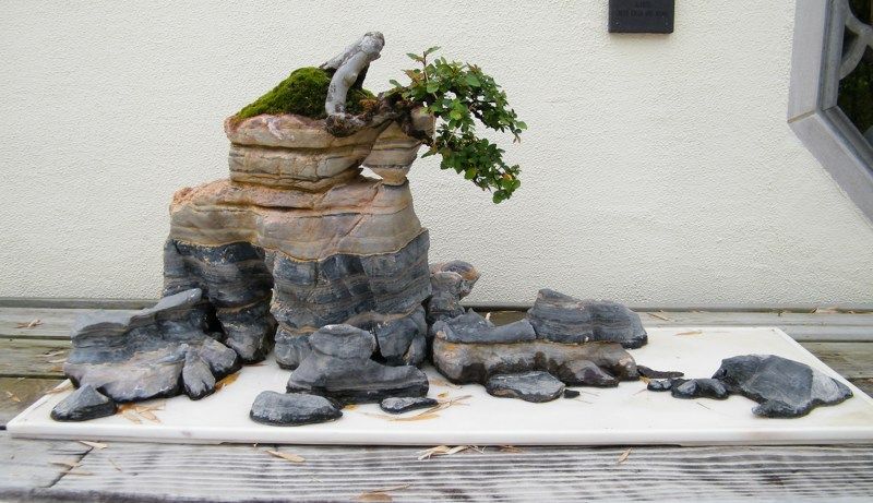 National Bonsai and Penjing Museum