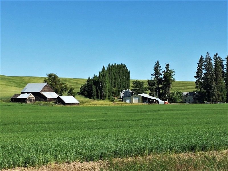 White Spring Ranch Museum