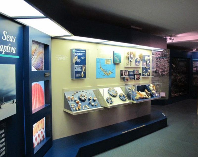 Bailey-Matthews Shell Museum