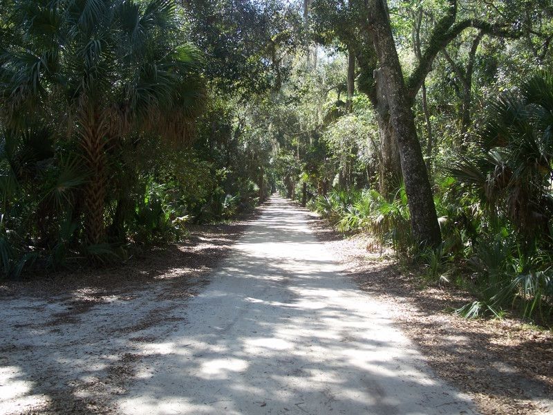 Bulow Plantation Ruins Historic State Park
