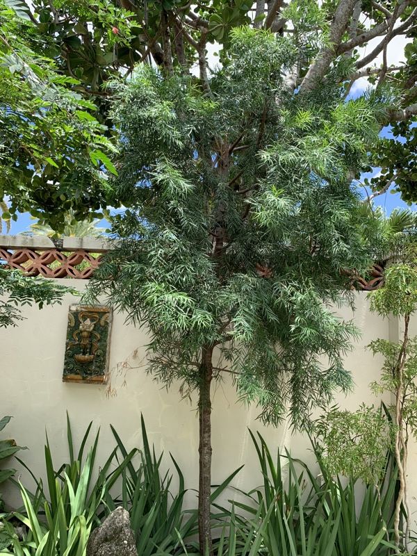 Four Arts Gardens