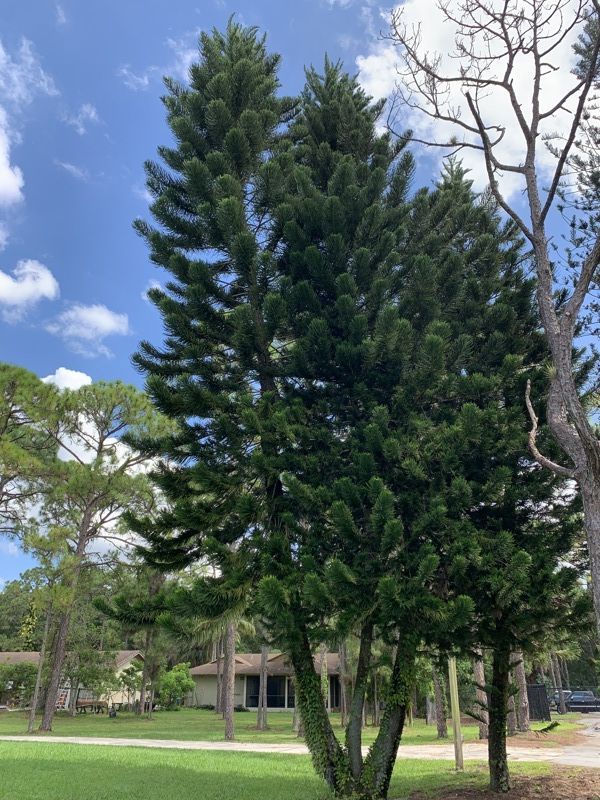 Morikami Museum and Japanese Gardens