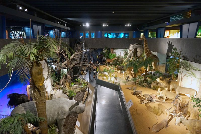 Museum of Geneva History