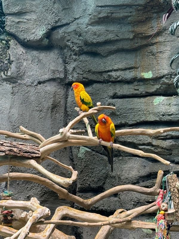 Orlando Science Center
