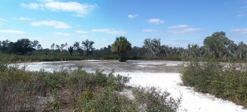 Paynes Creek Historic State Park