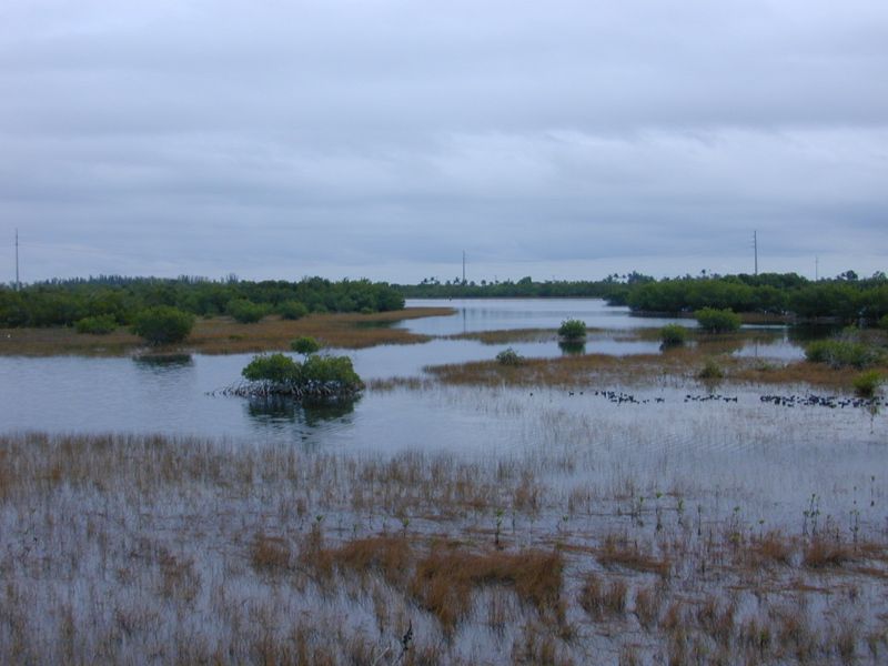 Rookery Bay National Estuarine Research Reserve