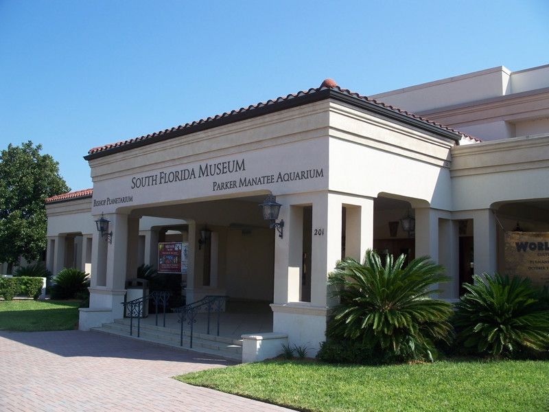 South Florida Museum