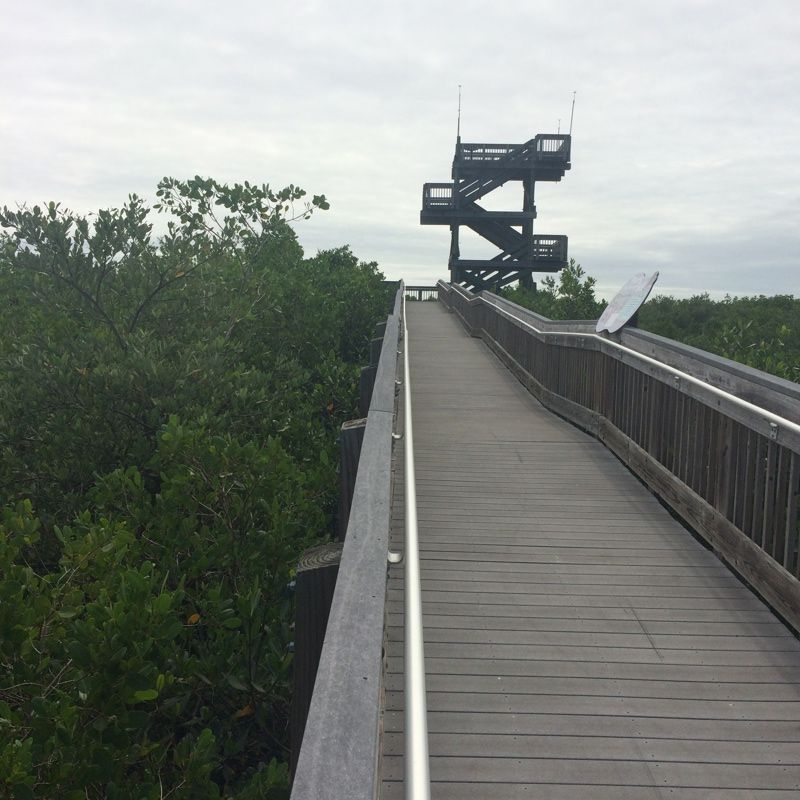 Weedon Island Preserve Cultural and Natural History Center