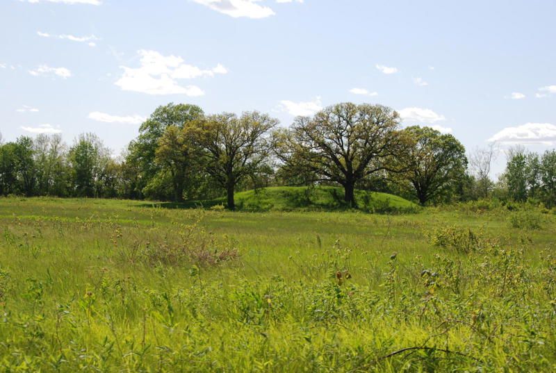 Dickson Mounds Museum