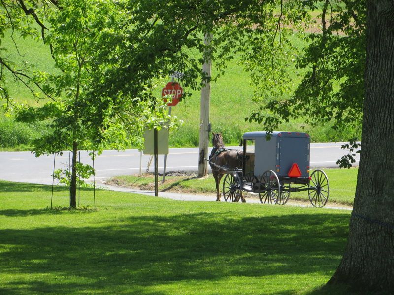 Horse and Buggy Museum