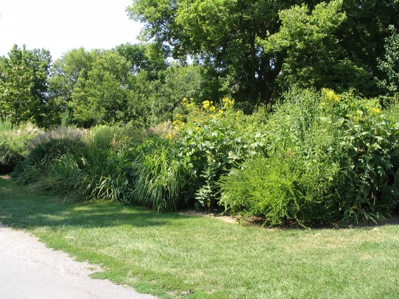 Joseph Smith Historic Site