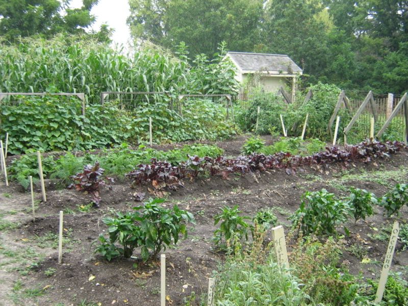 Kline Creek Farm