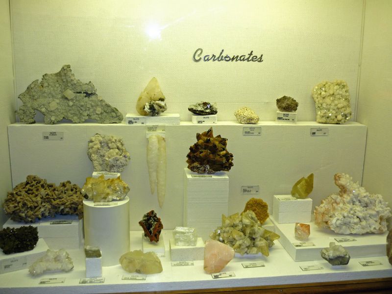 Museum of Geology