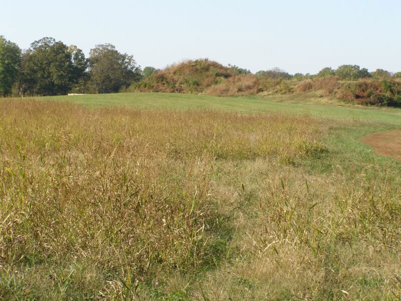 Angel Mounds State Historic Site