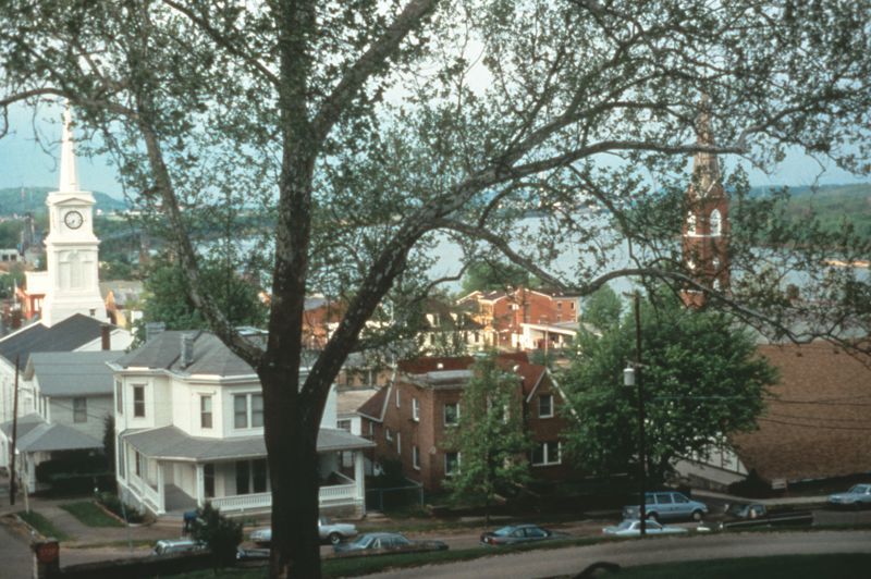 Hillforest