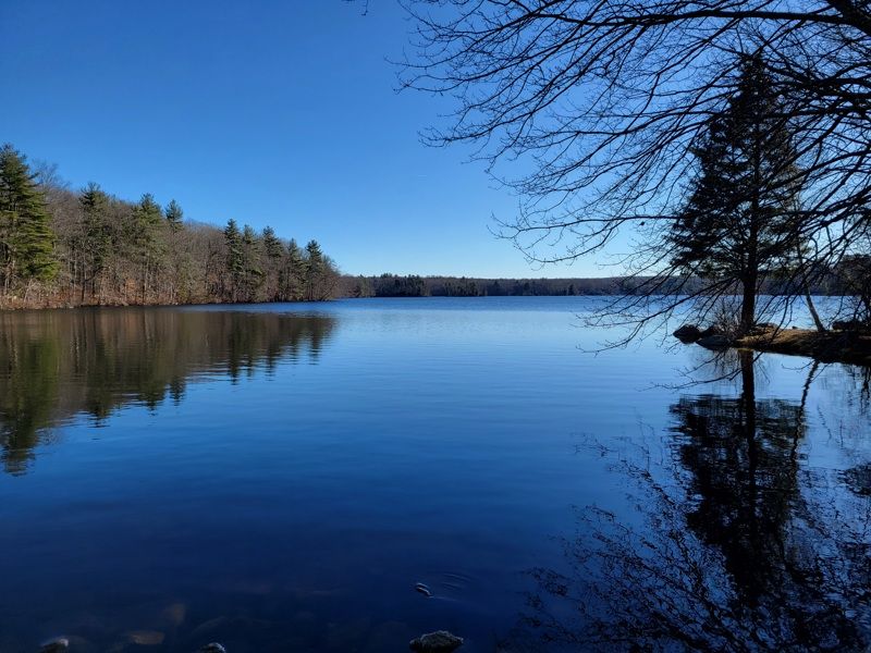 Lake of the Red Cedars Museum